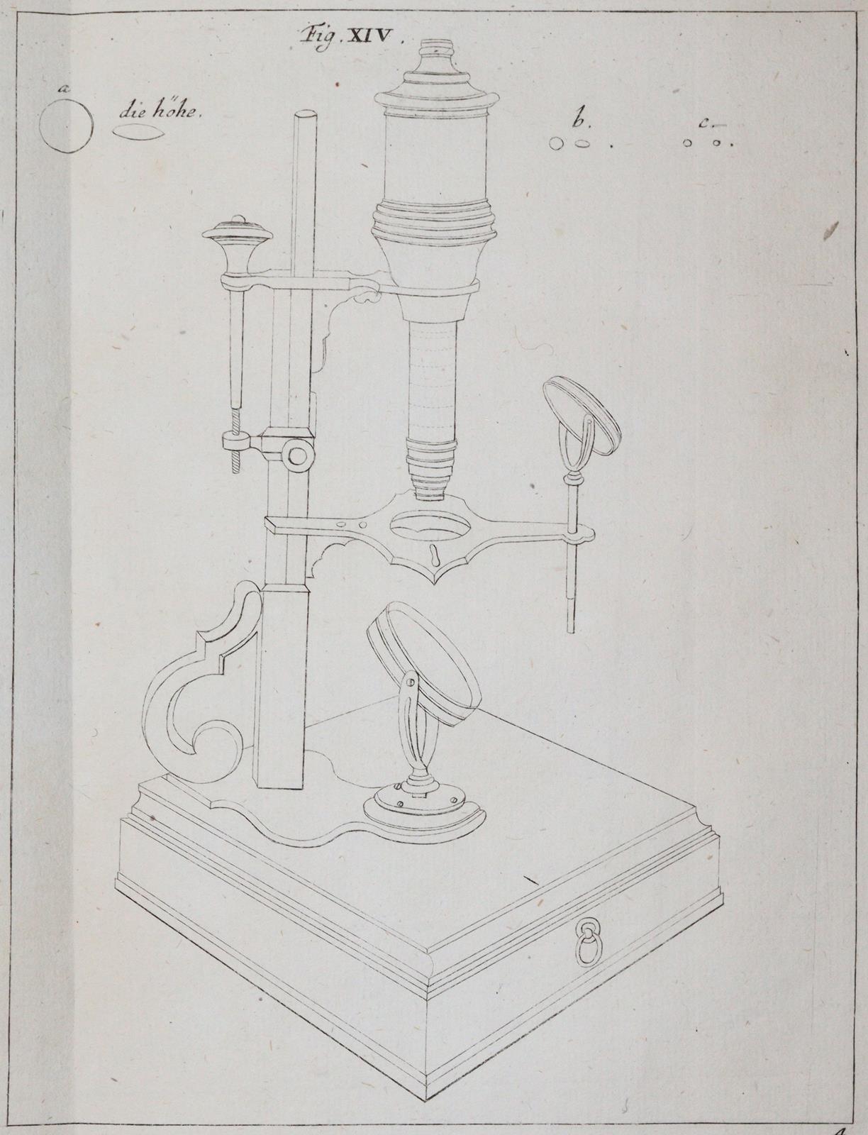 Ledermüller,M.F. | Bild Nr.7