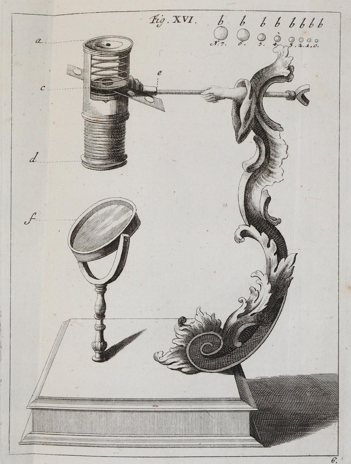 Ledermüller,M.F. | Bild Nr.9