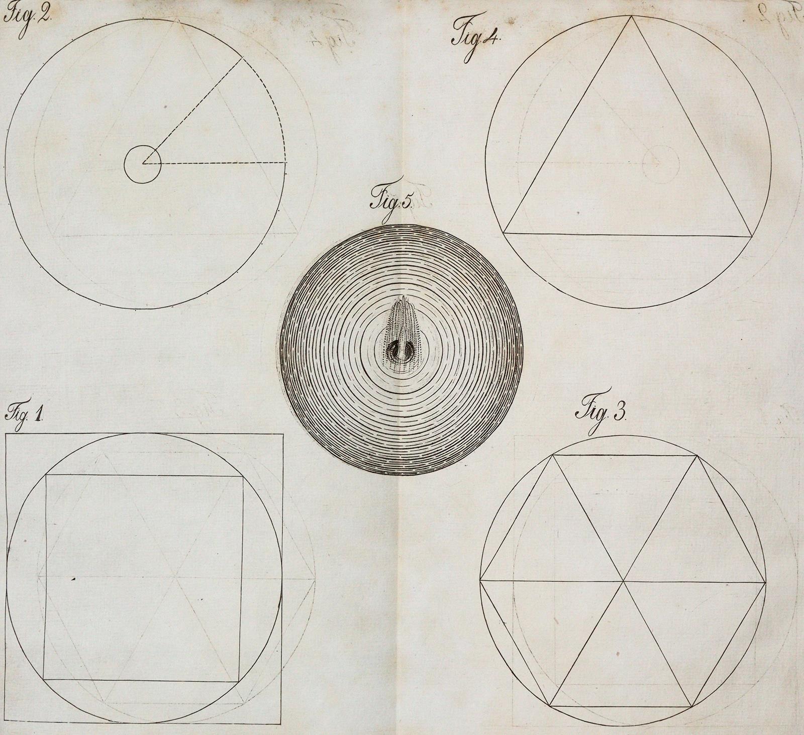 Müller,D.E. | Bild Nr.2