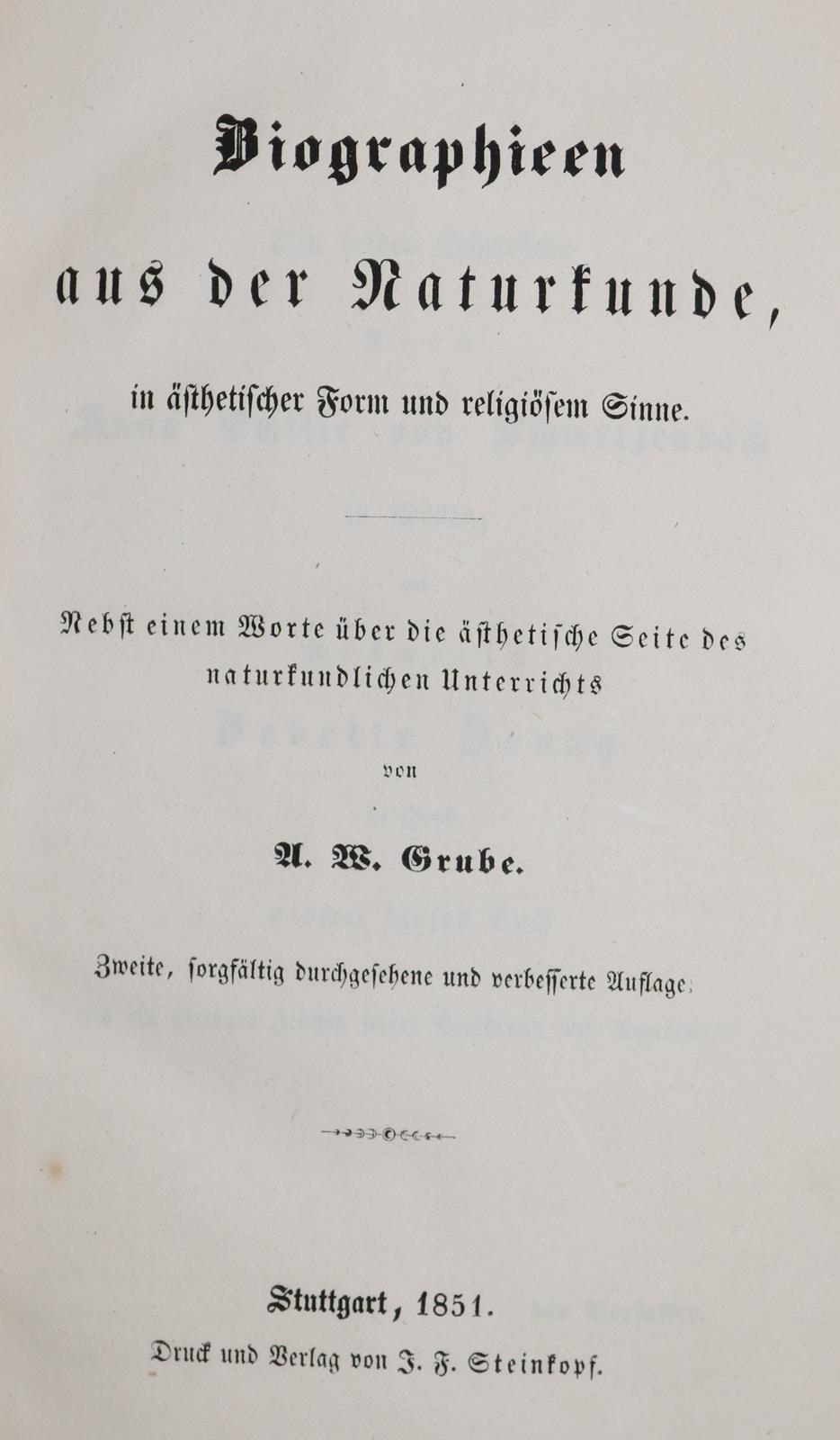 Sammlung | Bild Nr.1