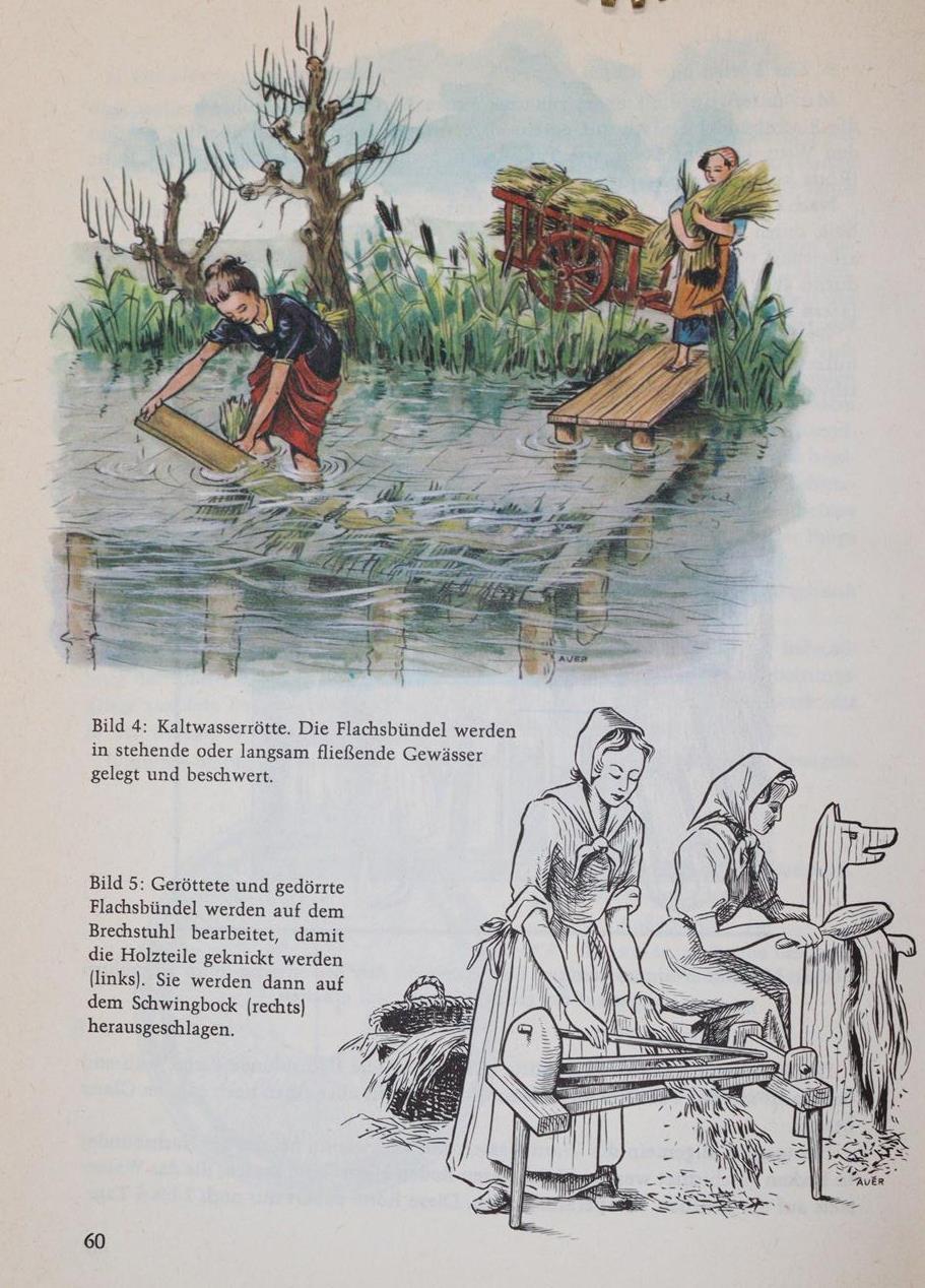 Sammlung | Bild Nr.2