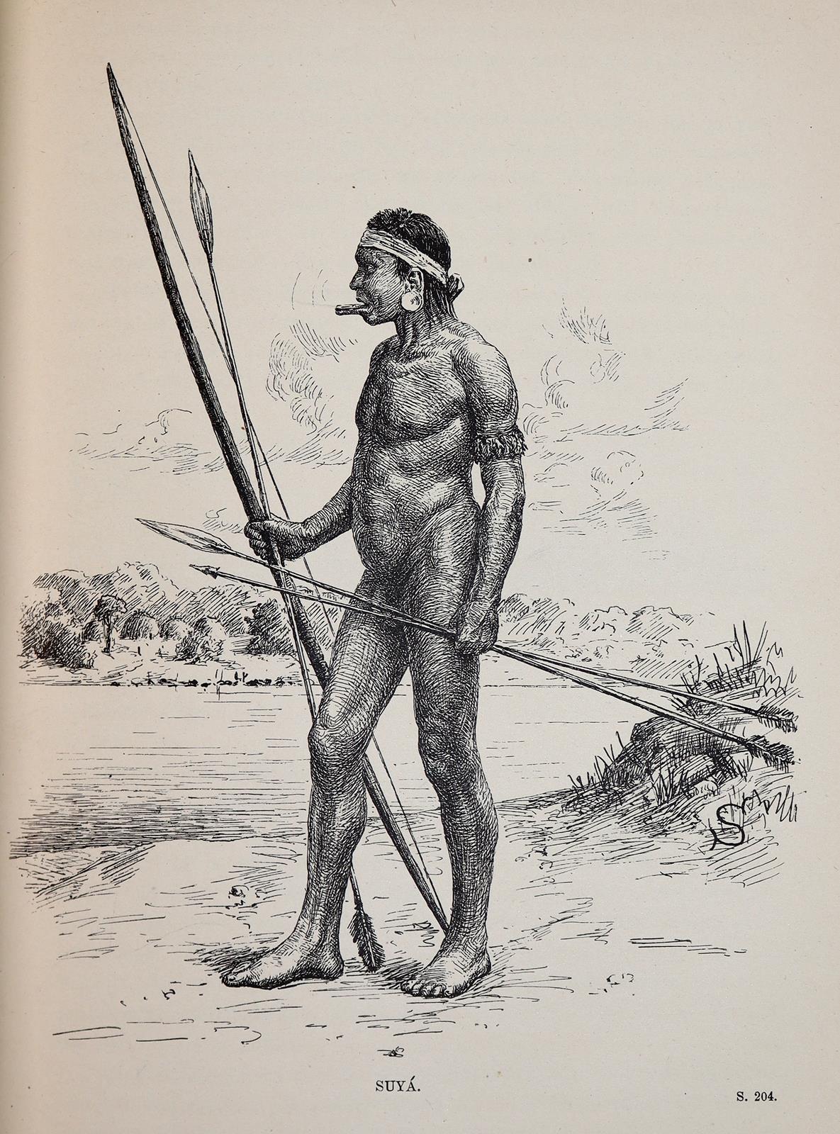 Steinen,K.v.d. | Bild Nr.4