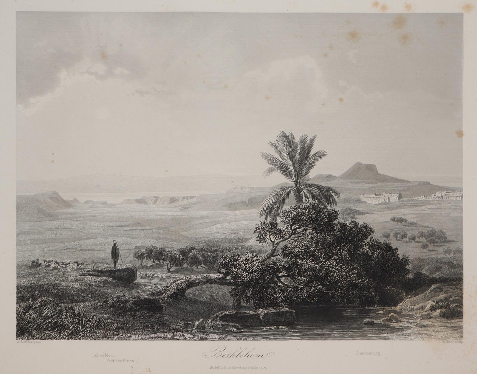 Busch,M. | Bild Nr.4