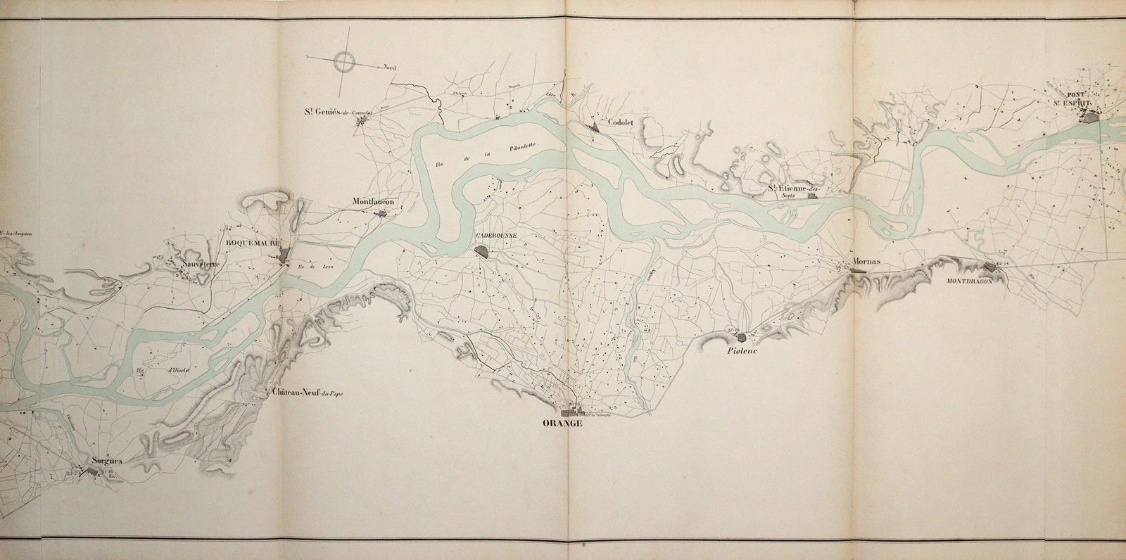 Dignoscyo,L. | Bild Nr.3