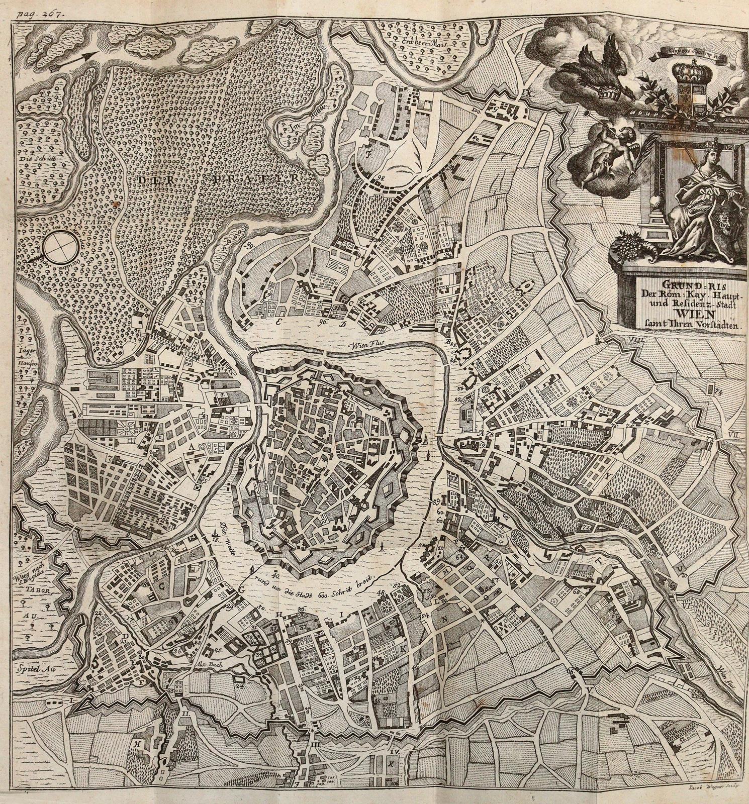 Fuhrmann,M. | Bild Nr.4