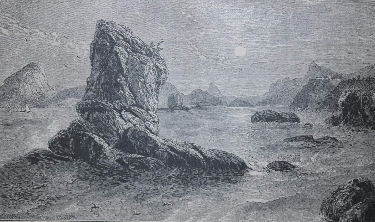 Falkenhorst,C. | Bild Nr.2