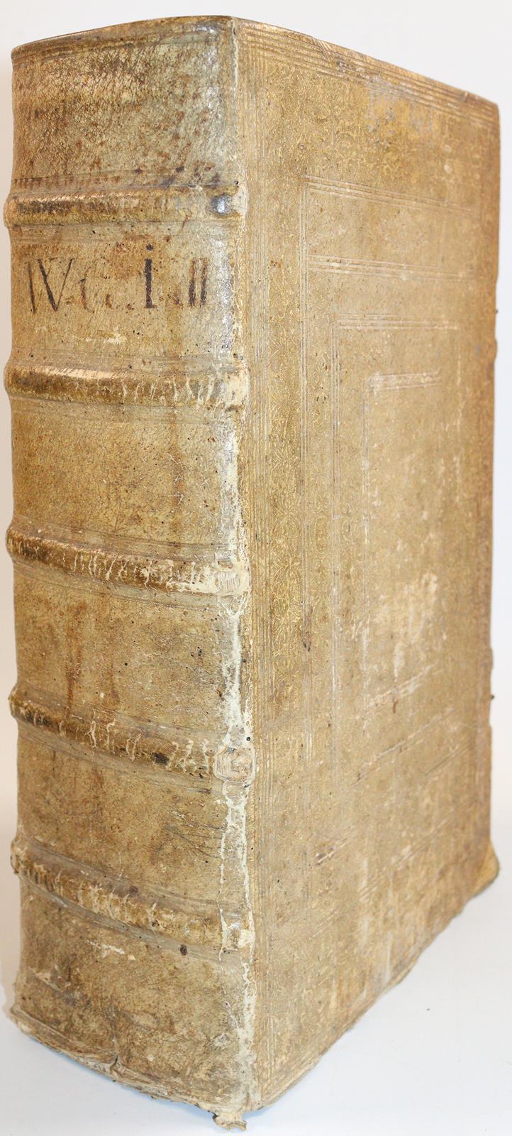 Foresti,A. | Bild Nr.3