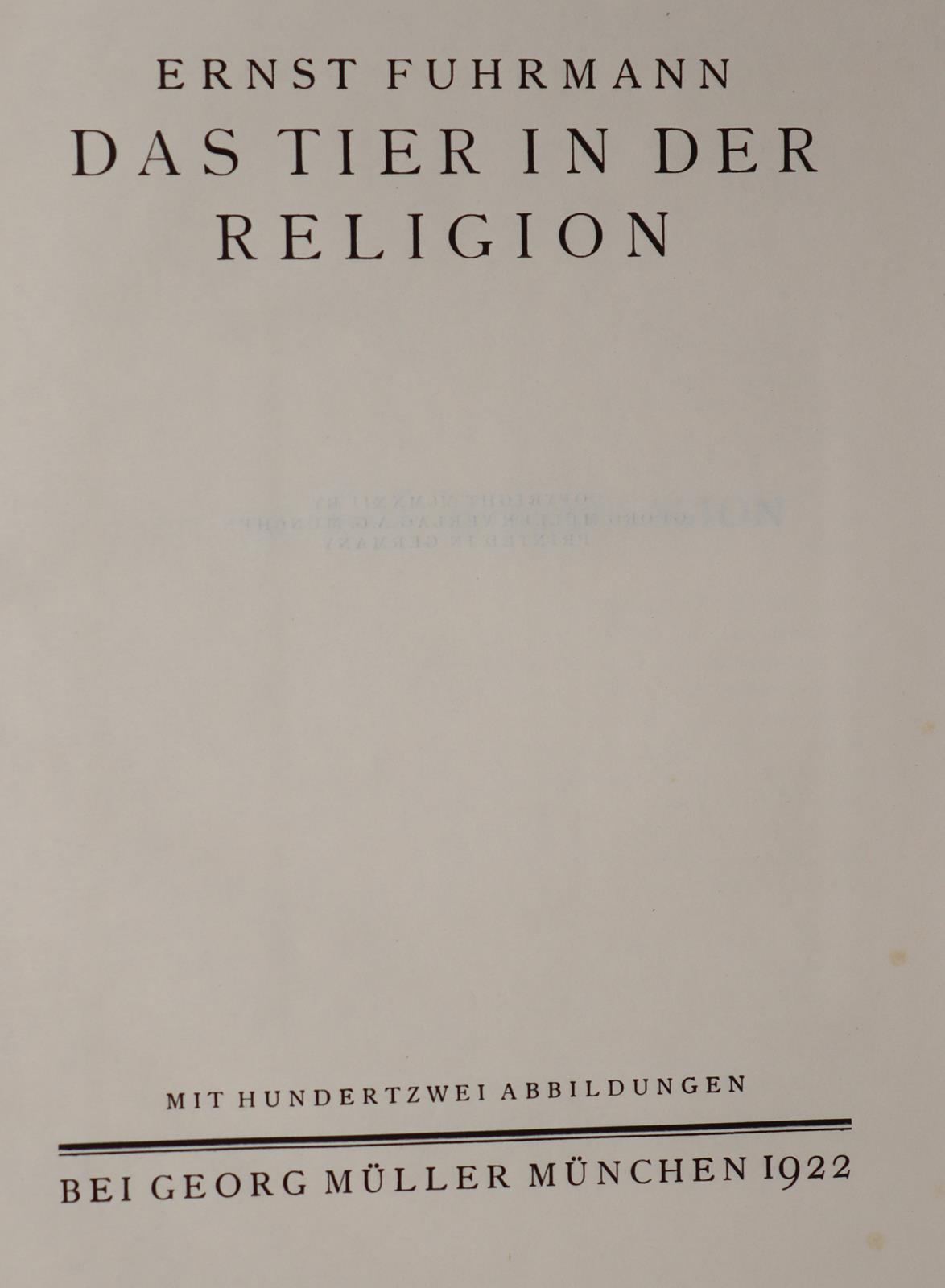 Fuhrmann,E. | Bild Nr.8