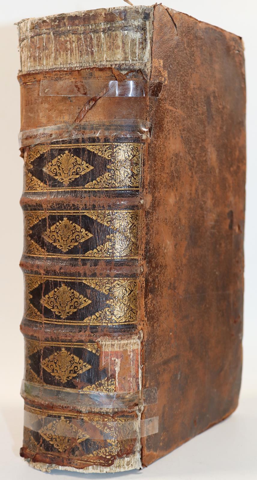 Gottfried,J.L. | Bild Nr.2