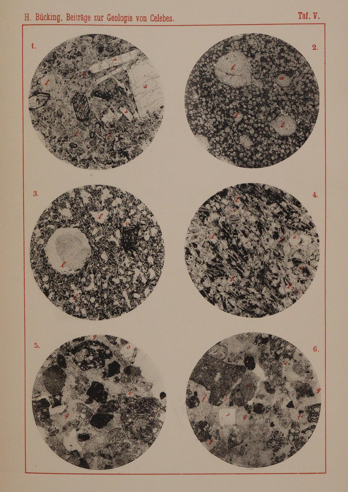 Voeltzkow,A. | Bild Nr.2