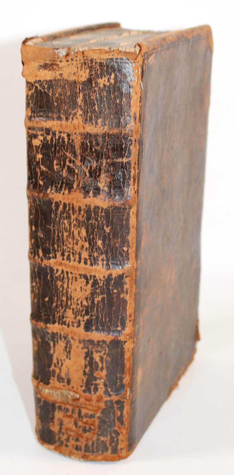 Olearius,A. | Bild Nr.8