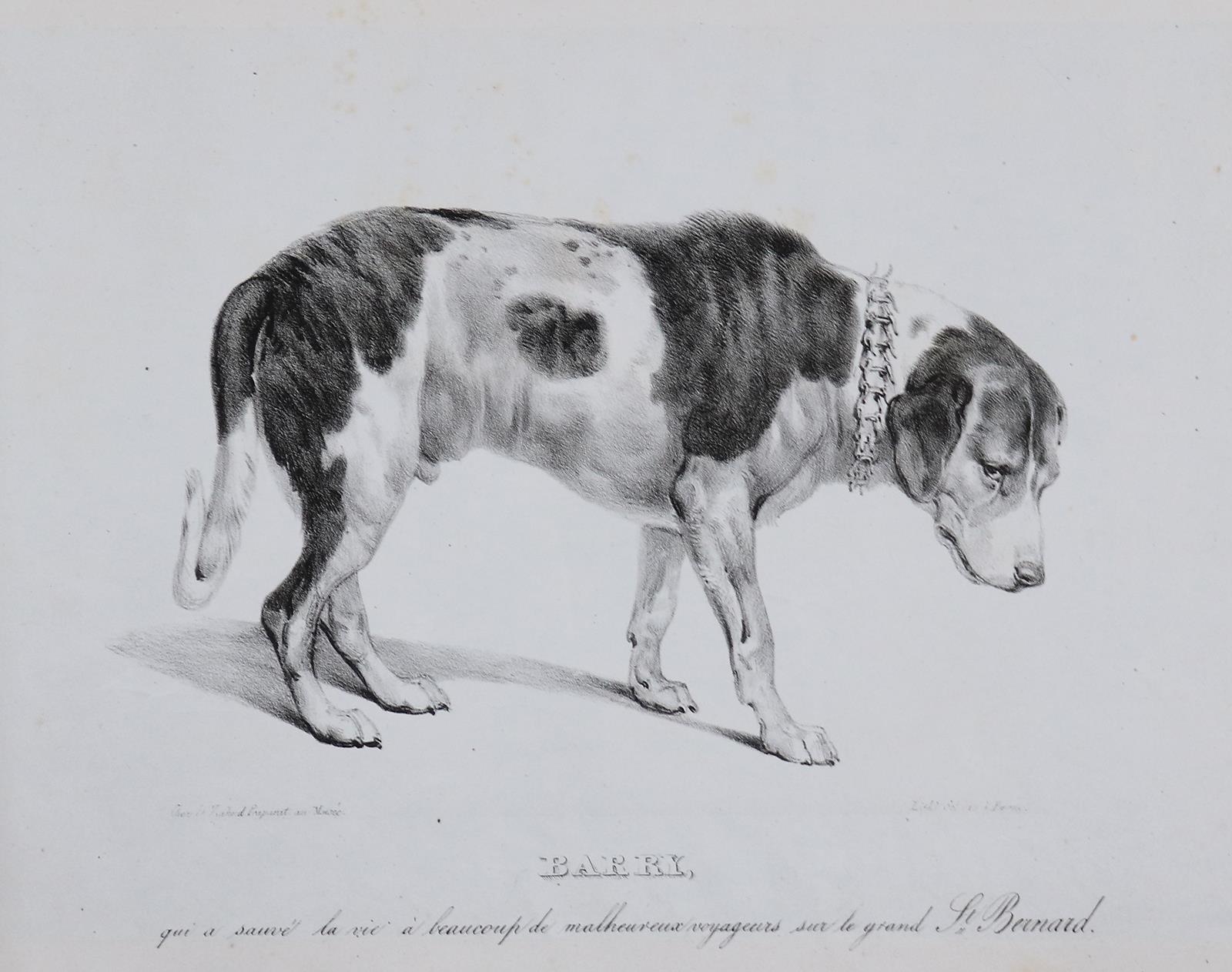 Souvenirs de Suisse, d