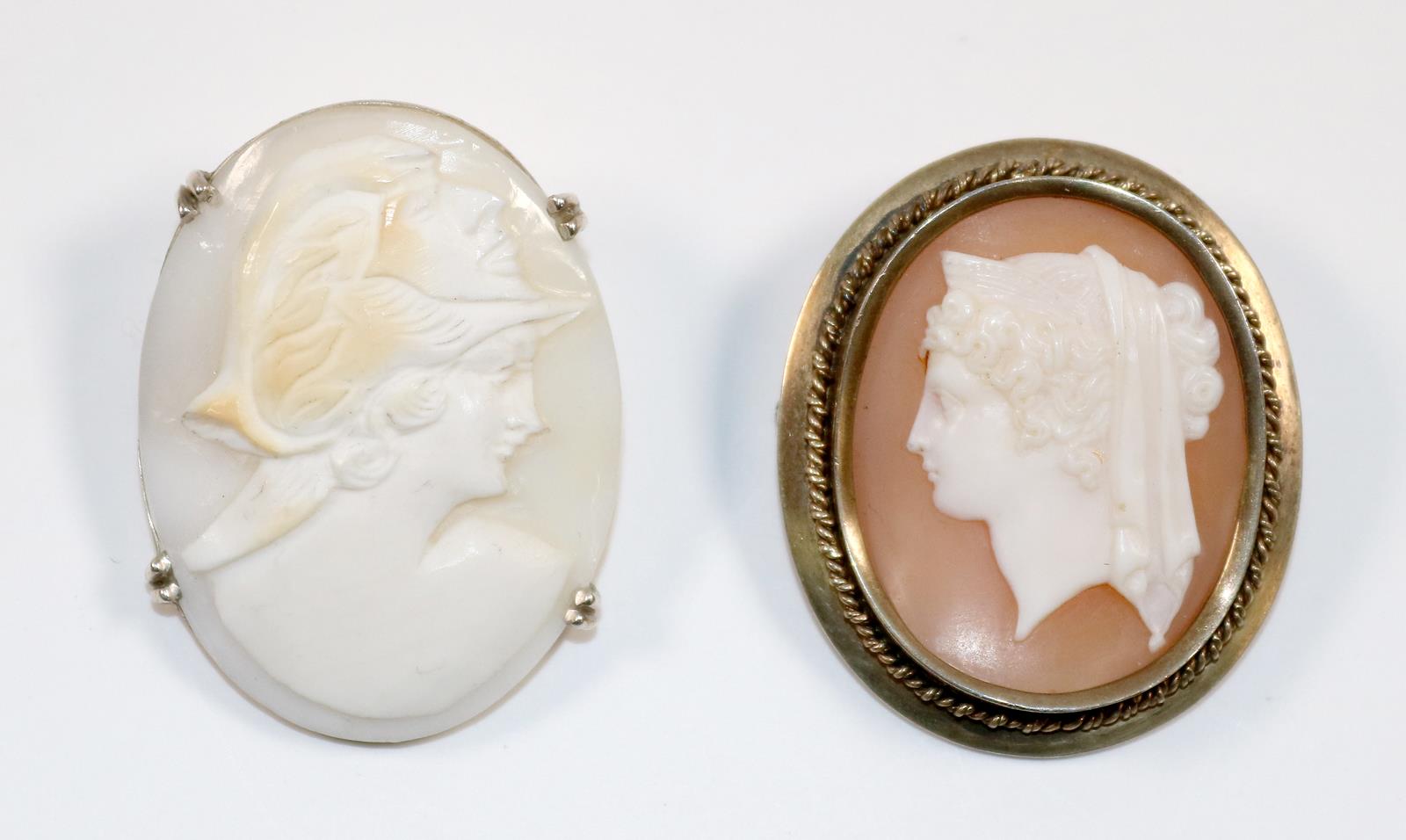 Muschelkammeen | Bild Nr.1