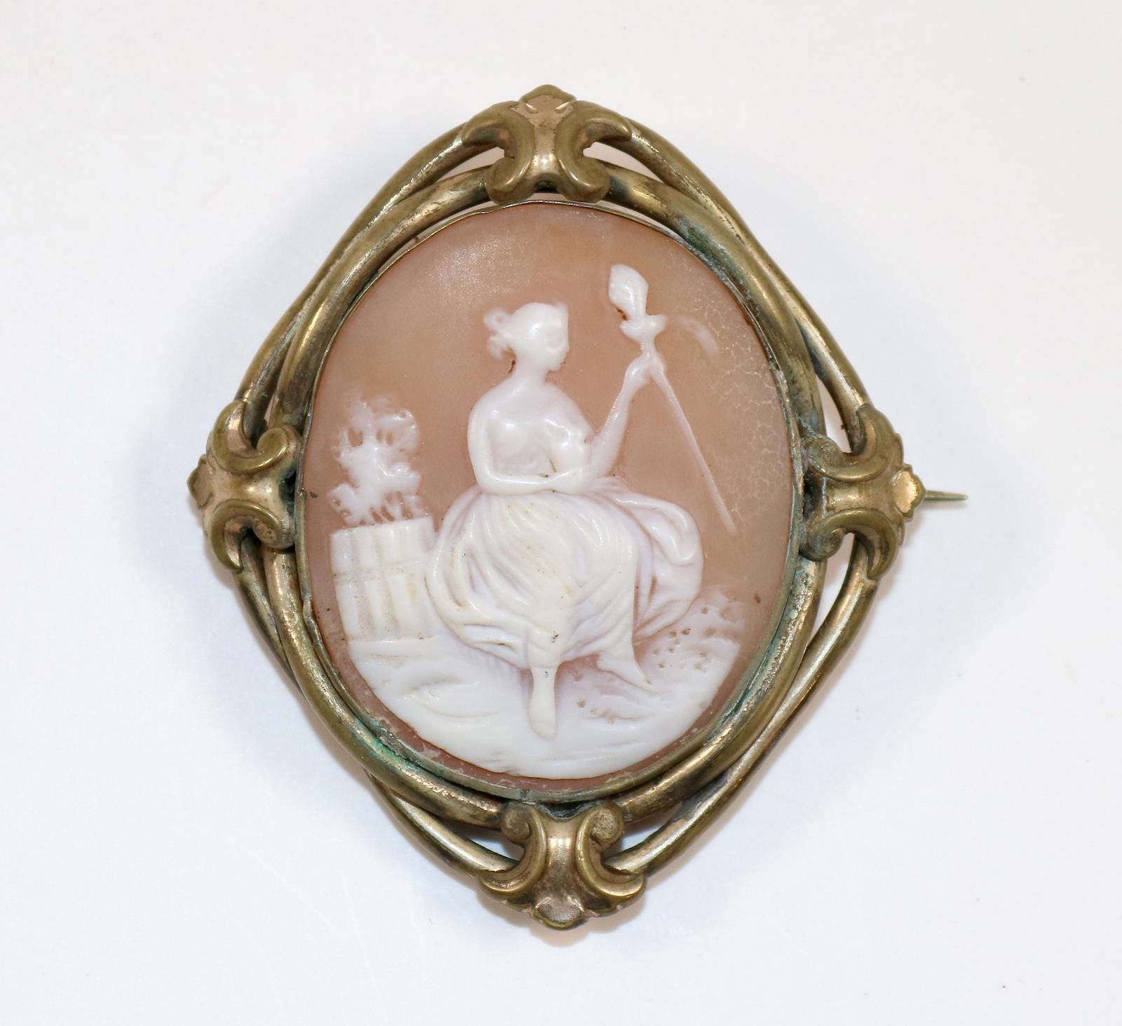 Prächtige Muschelkamee | Bild Nr.1