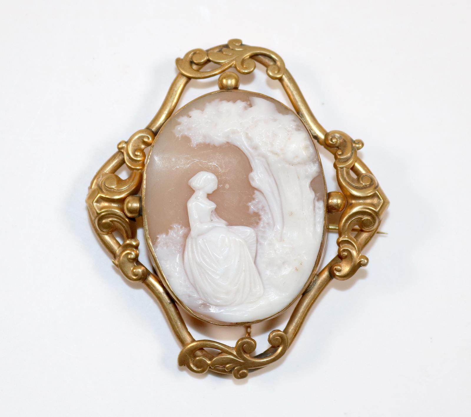 Prächtige Muschelkamee | Bild Nr.1