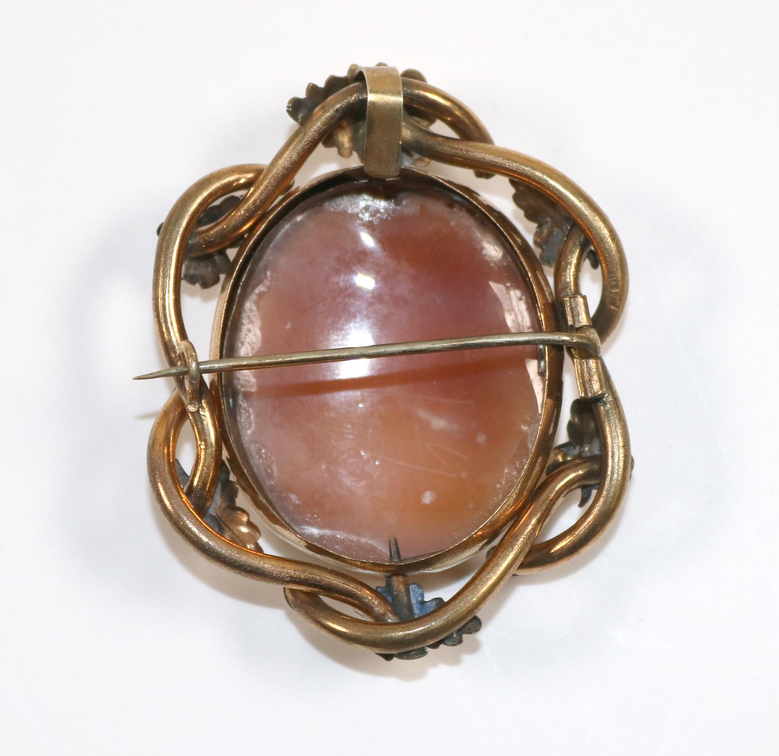 Prächtige Muschelkamee. | Bild Nr.2