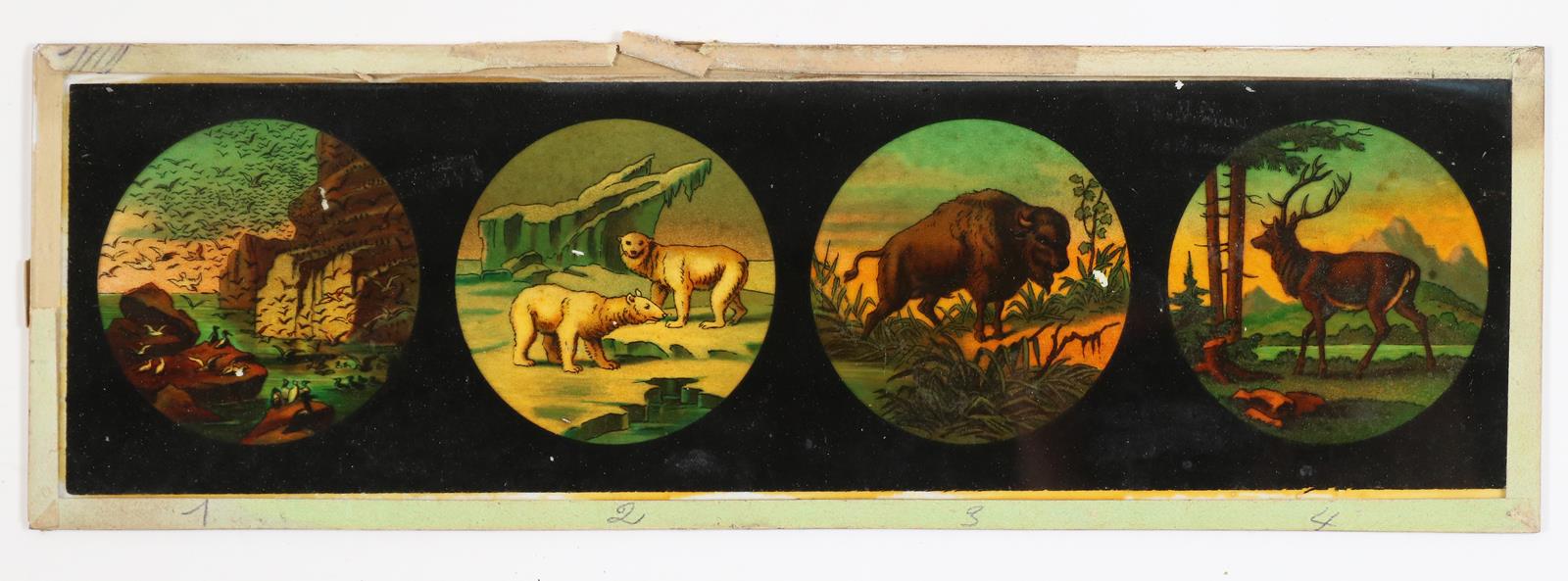 Graphoskop, Steroskop. | Bild Nr.3