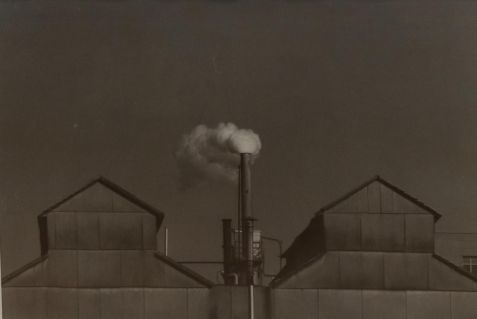 Kiess, Stefan | Bild Nr.2