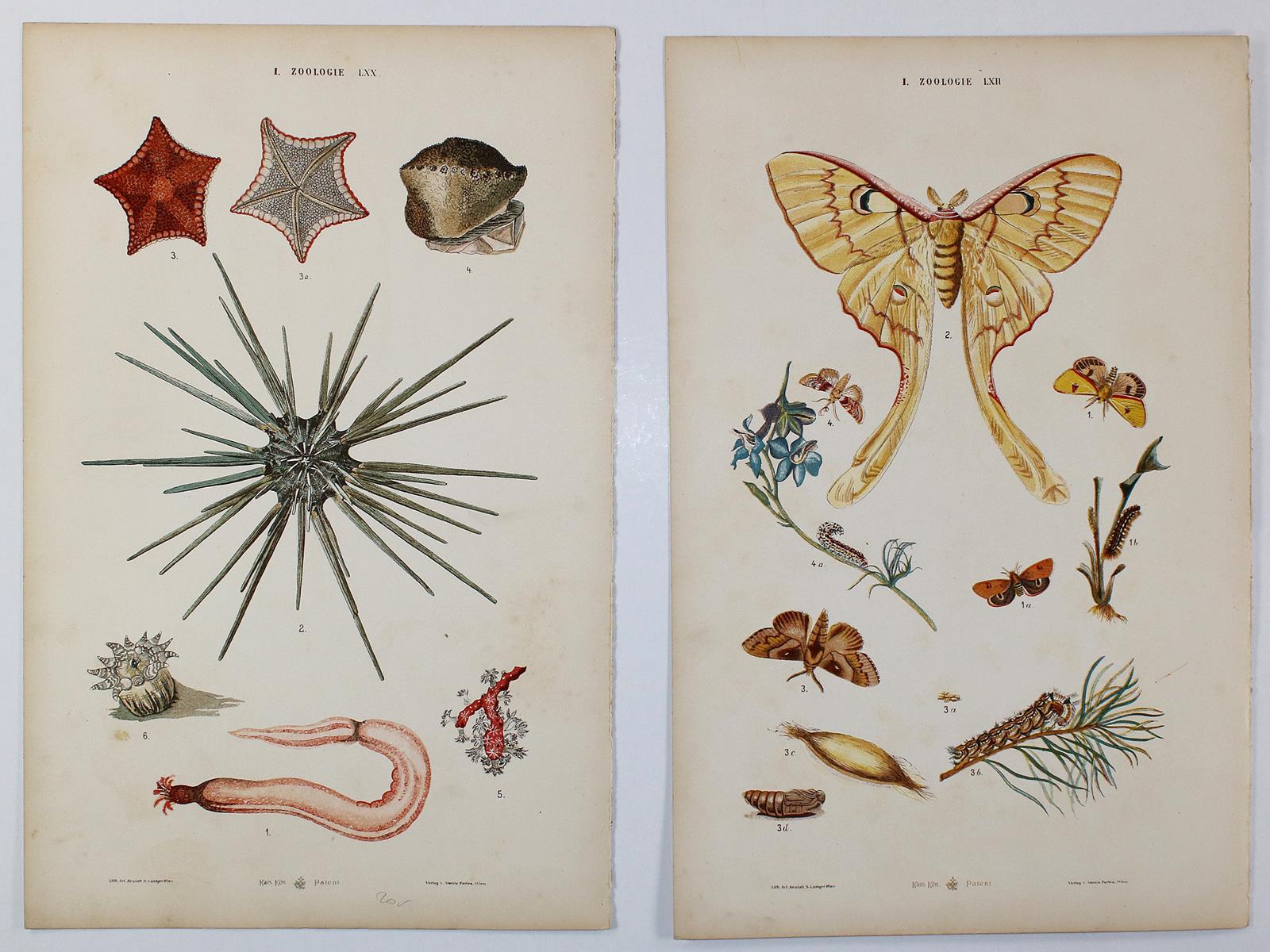 Arts aus moyen age, Les. | Bild Nr.6