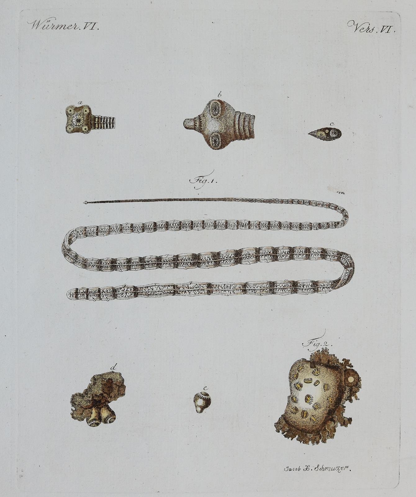 Bertuch. | Bild Nr.3