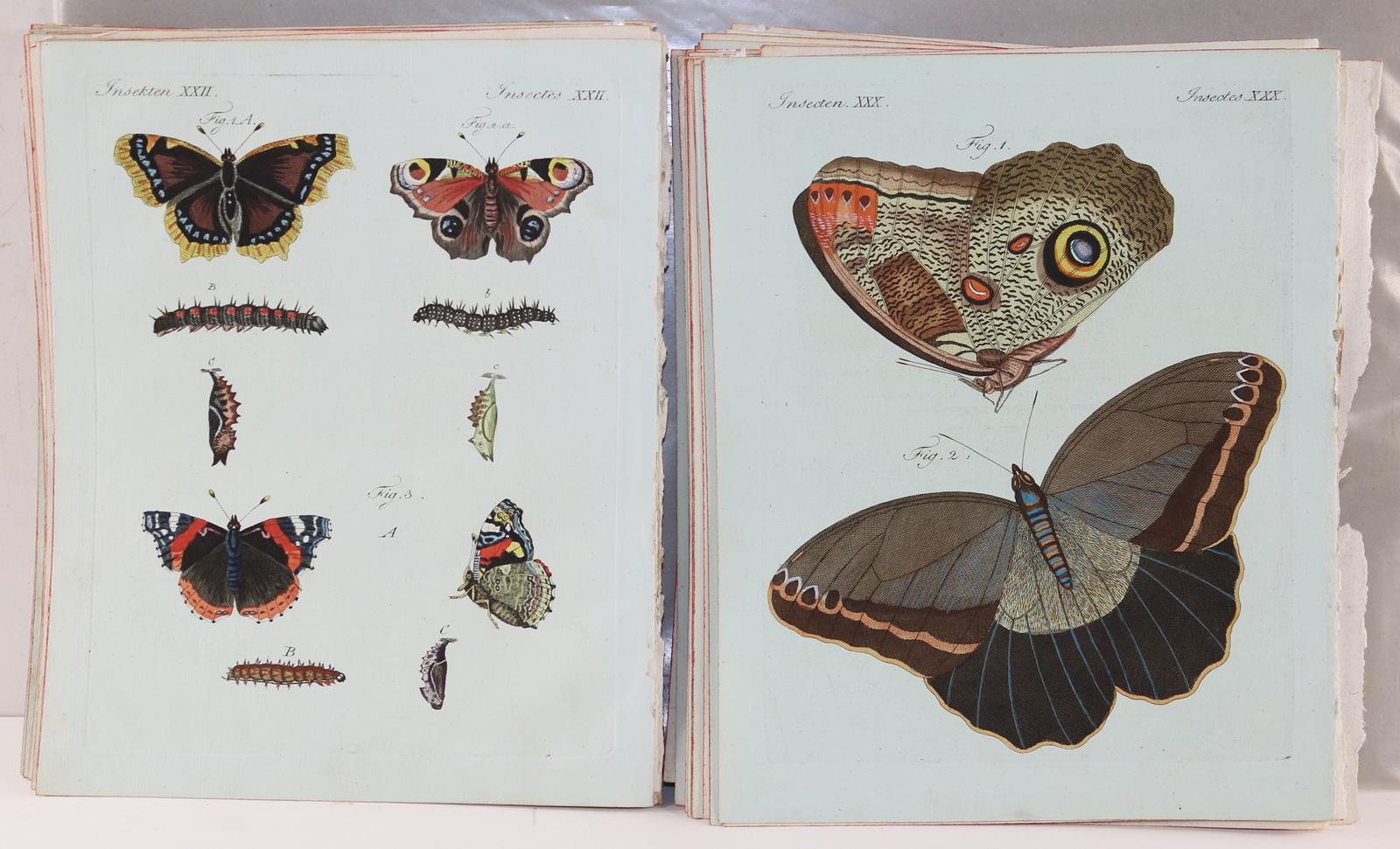 Bertuch. | Bild Nr.9