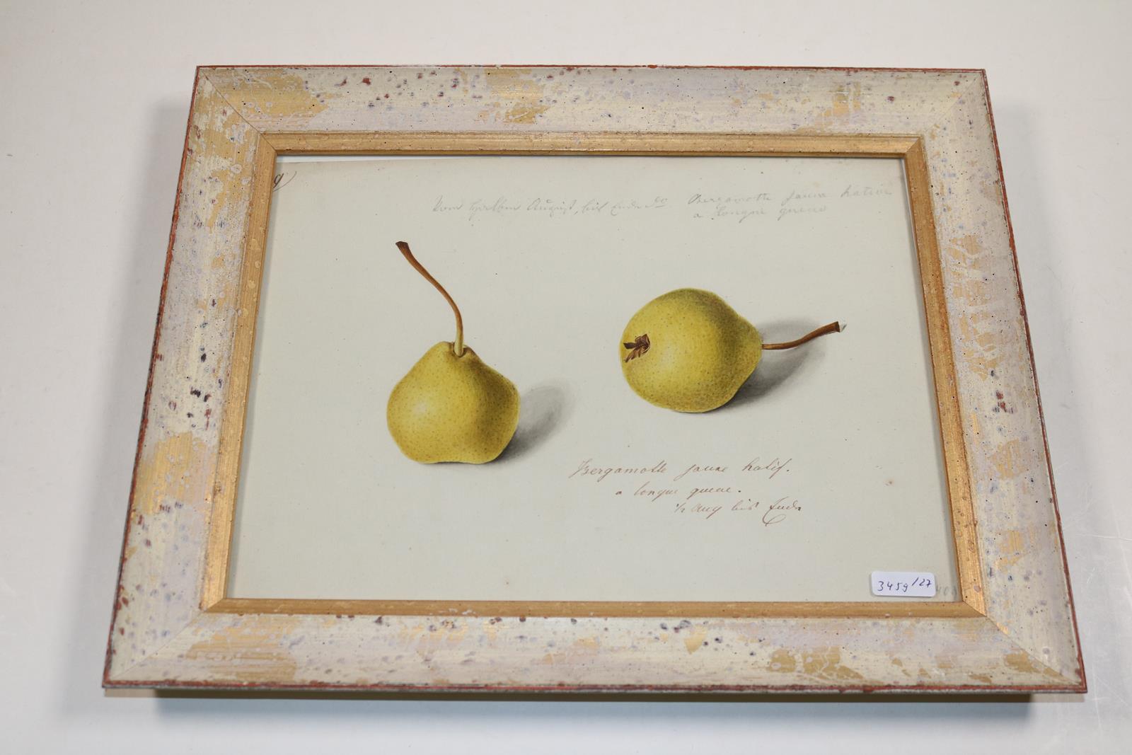 Blaschek,Franz. | Bild Nr.13