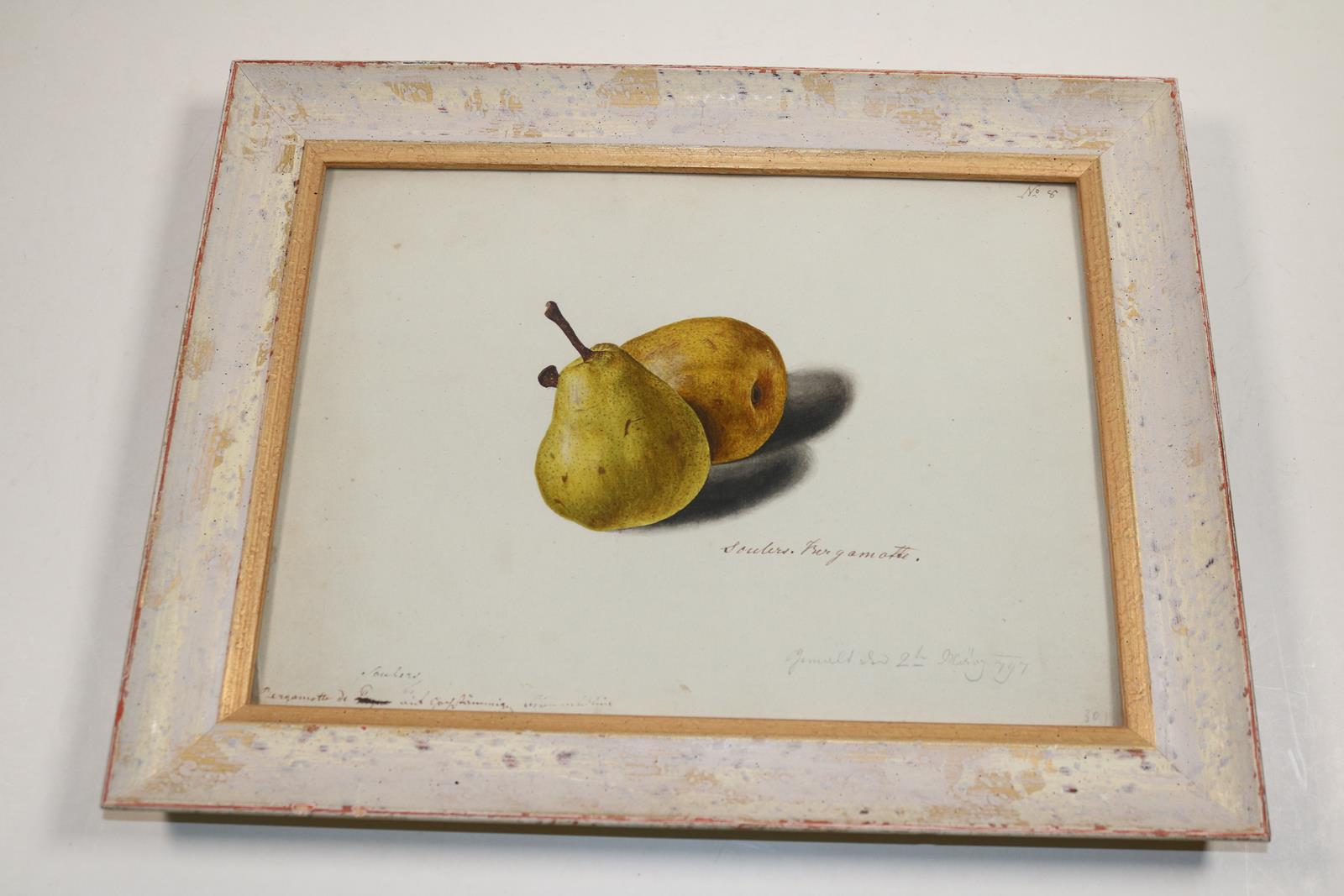 Blaschek,Franz. | Bild Nr.15