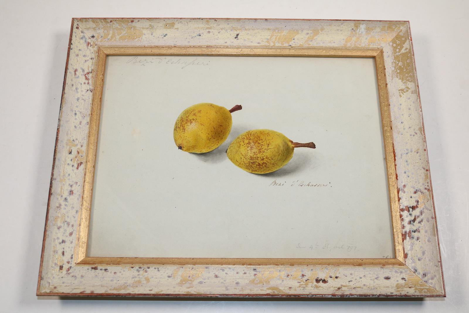 Blaschek,Franz. | Bild Nr.16