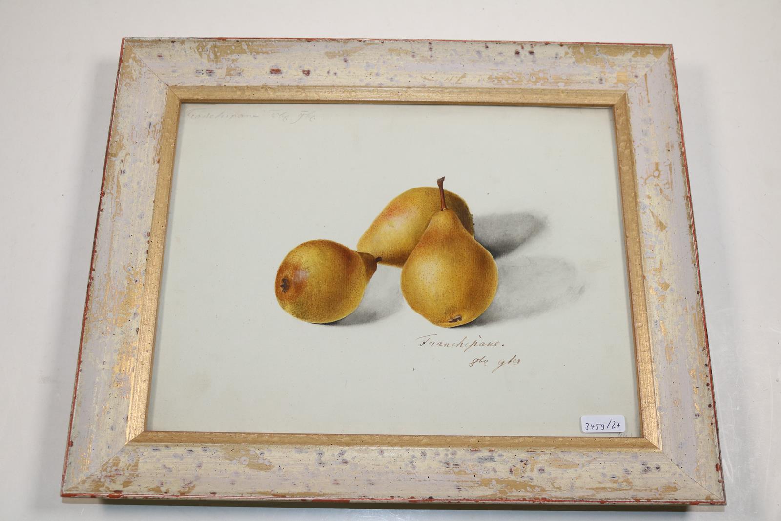 Blaschek,Franz. | Bild Nr.19