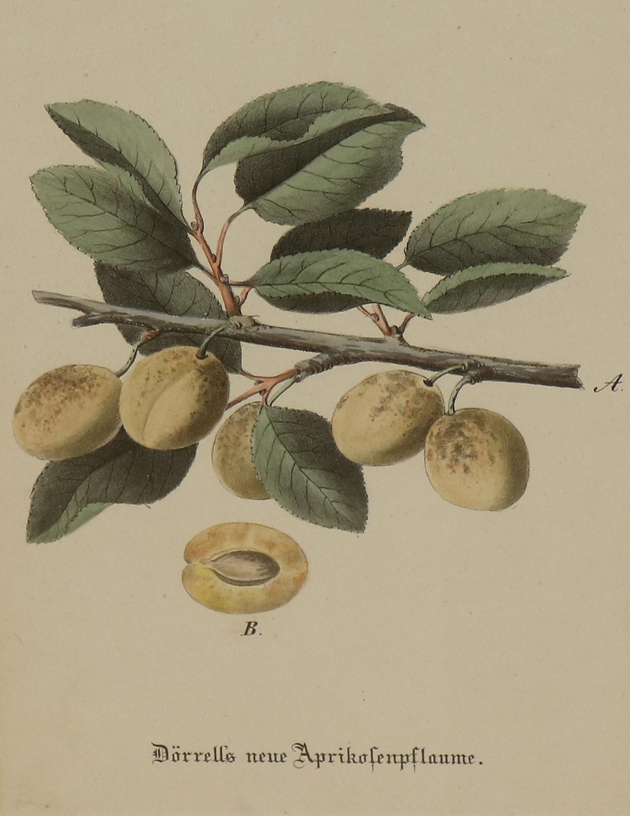 Sammlung | Bild Nr.6