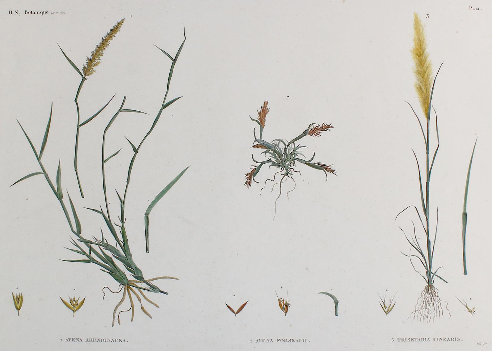 Sammlung | Bild Nr.1