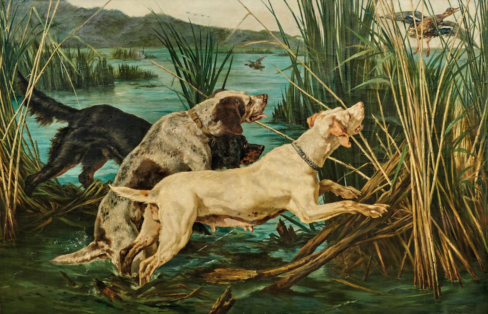 Da Vida. | Bild Nr.1