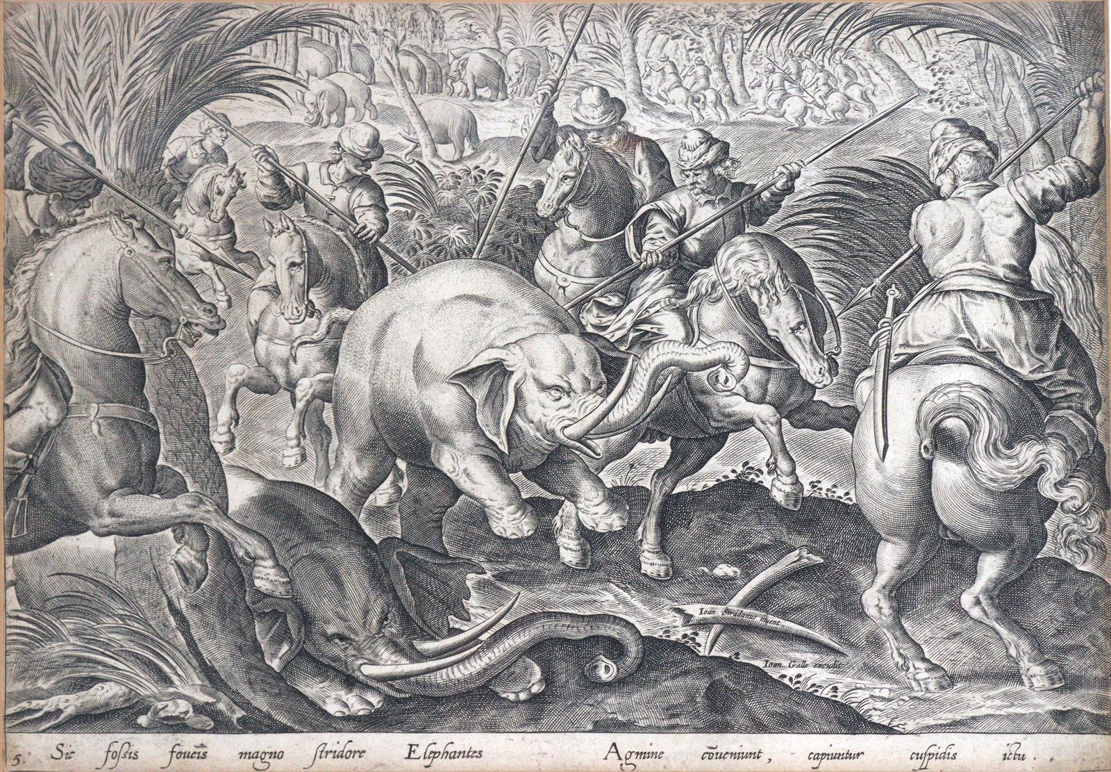 Elephantenjagd. | Bild Nr.1