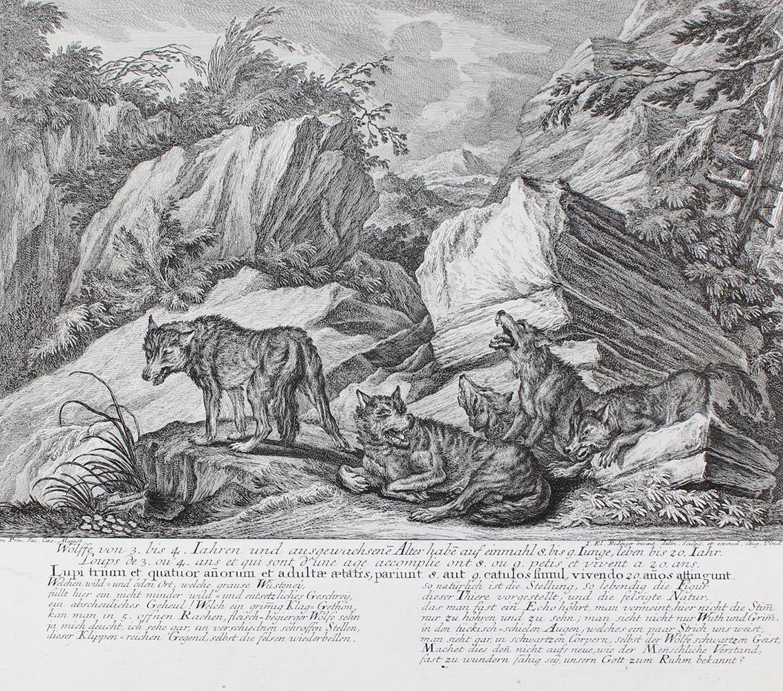 Jagdkunst. | Bild Nr.5