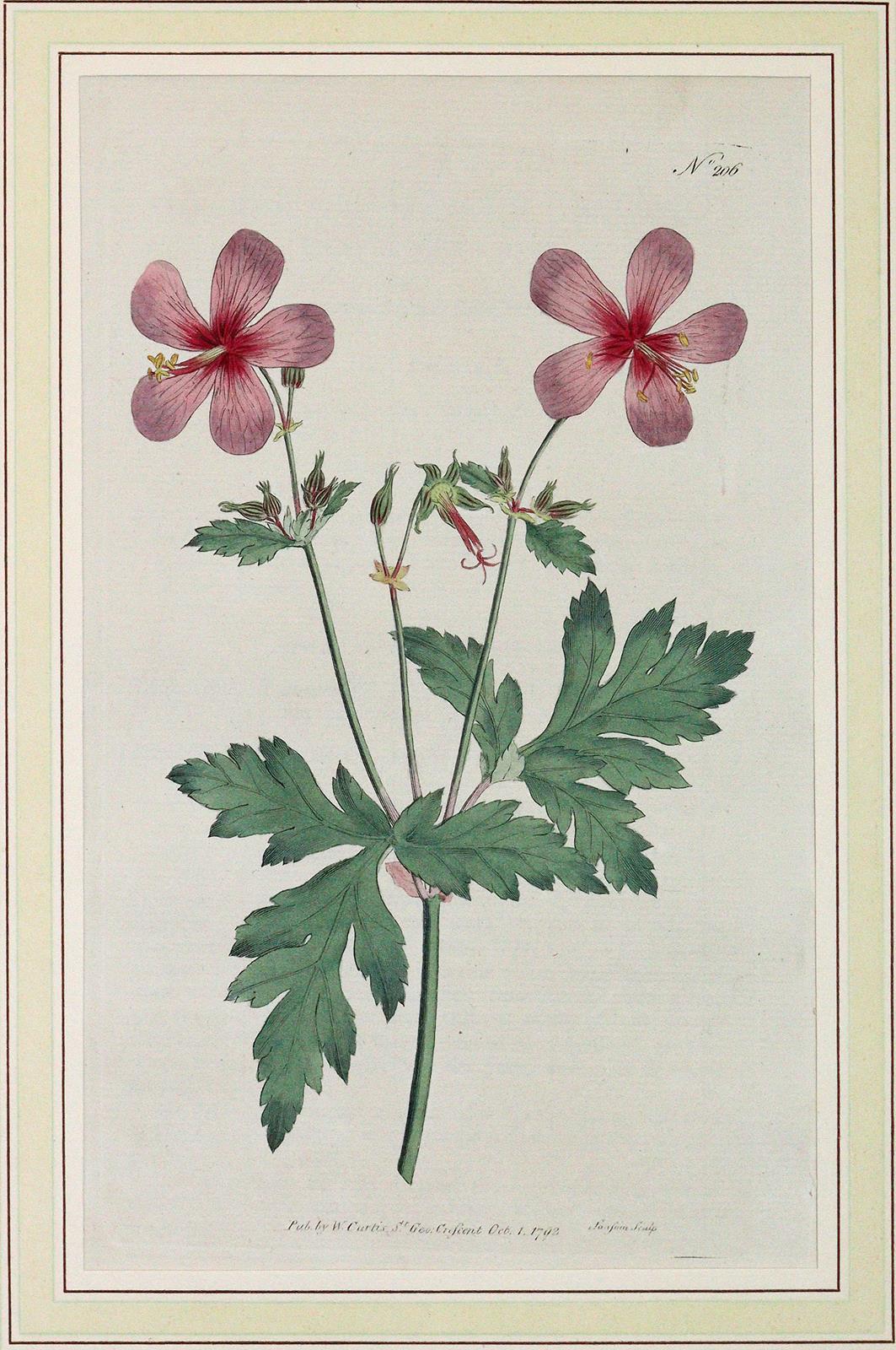 Konvolut | Bild Nr.2