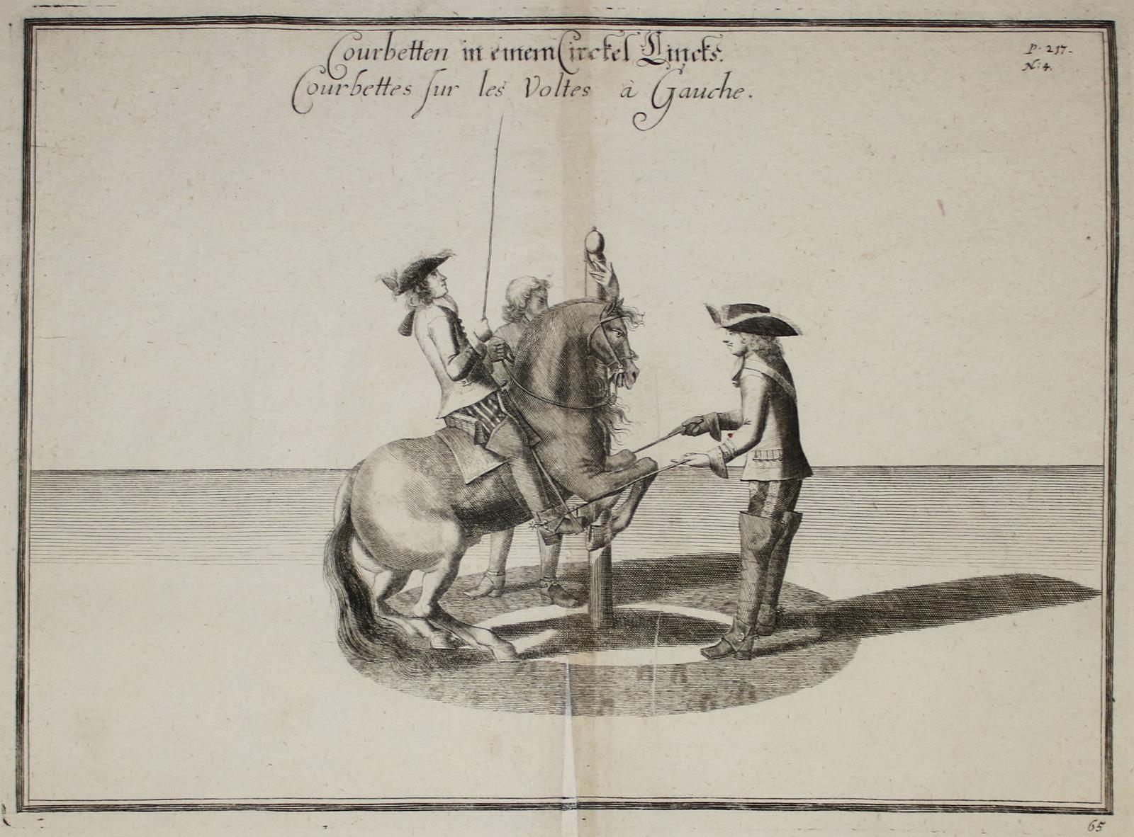 Reitschule | Bild Nr.1