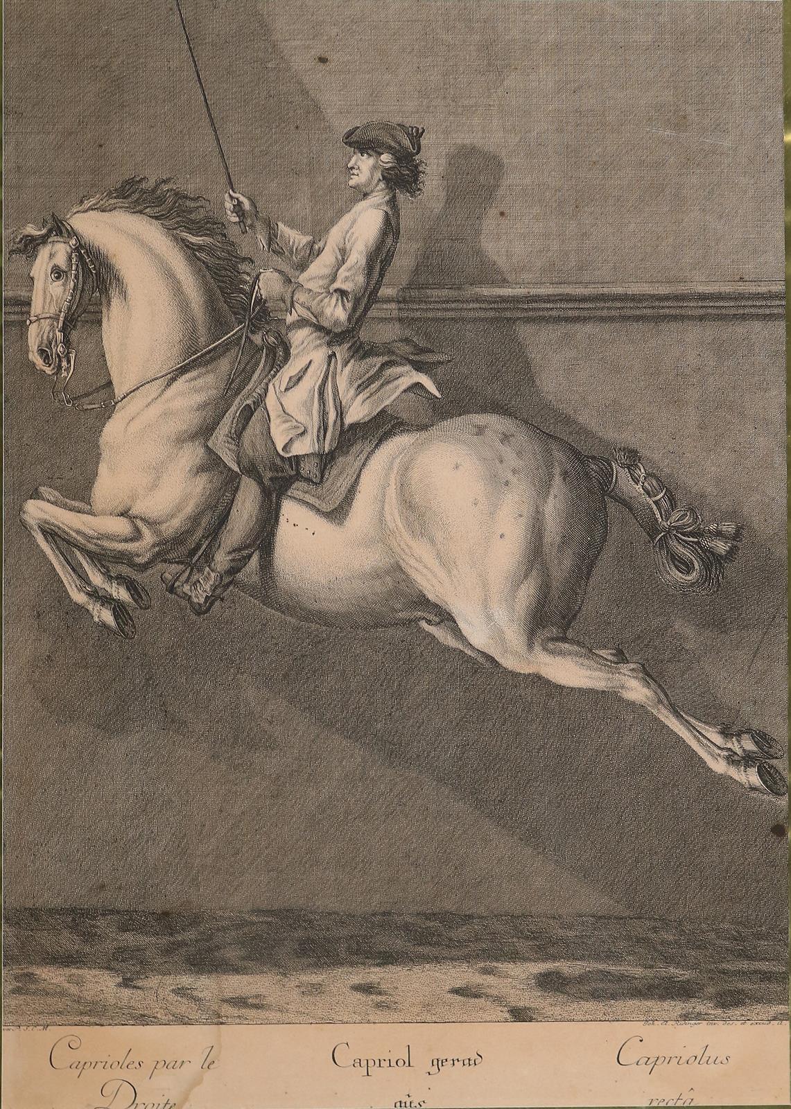 Ridinger, Johann Elias (1698-1767). | Bild Nr.2