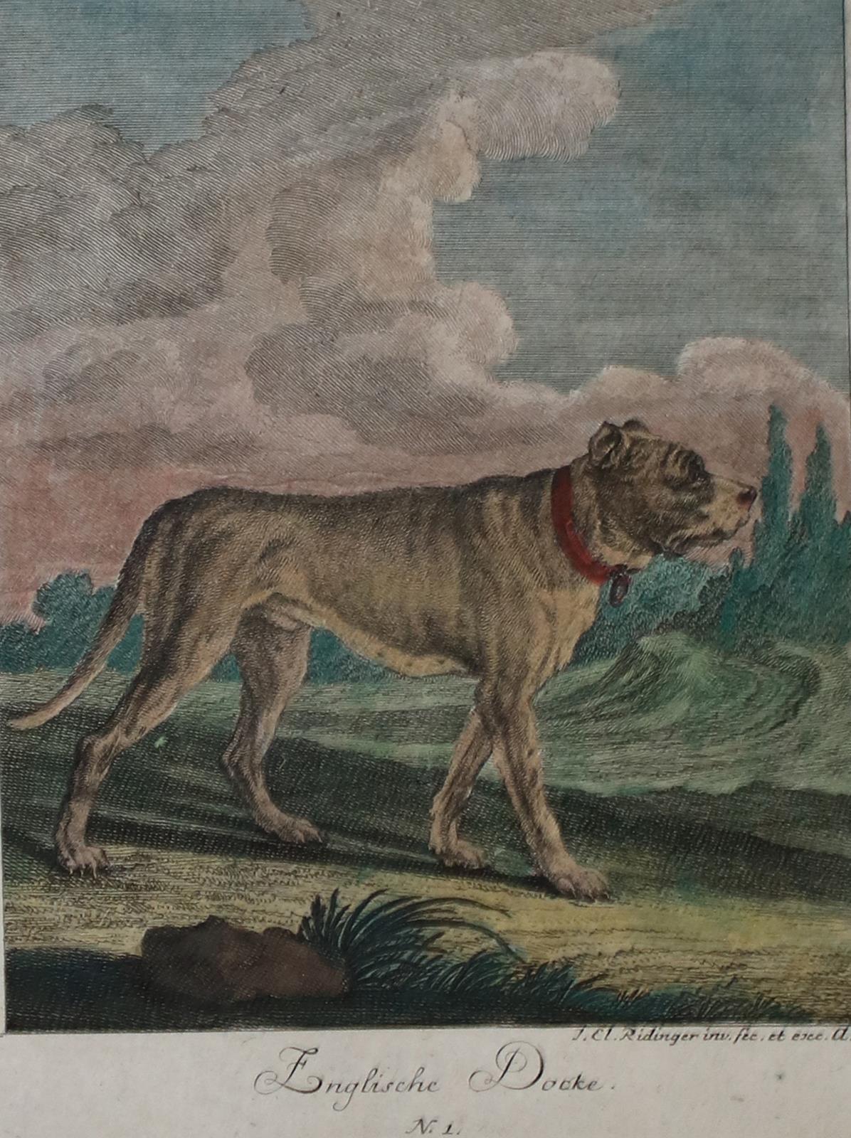 Ridinger. | Bild Nr.1