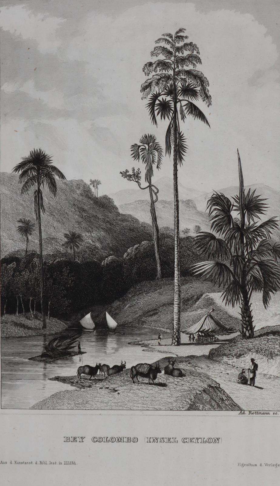 Sammlung | Bild Nr.3