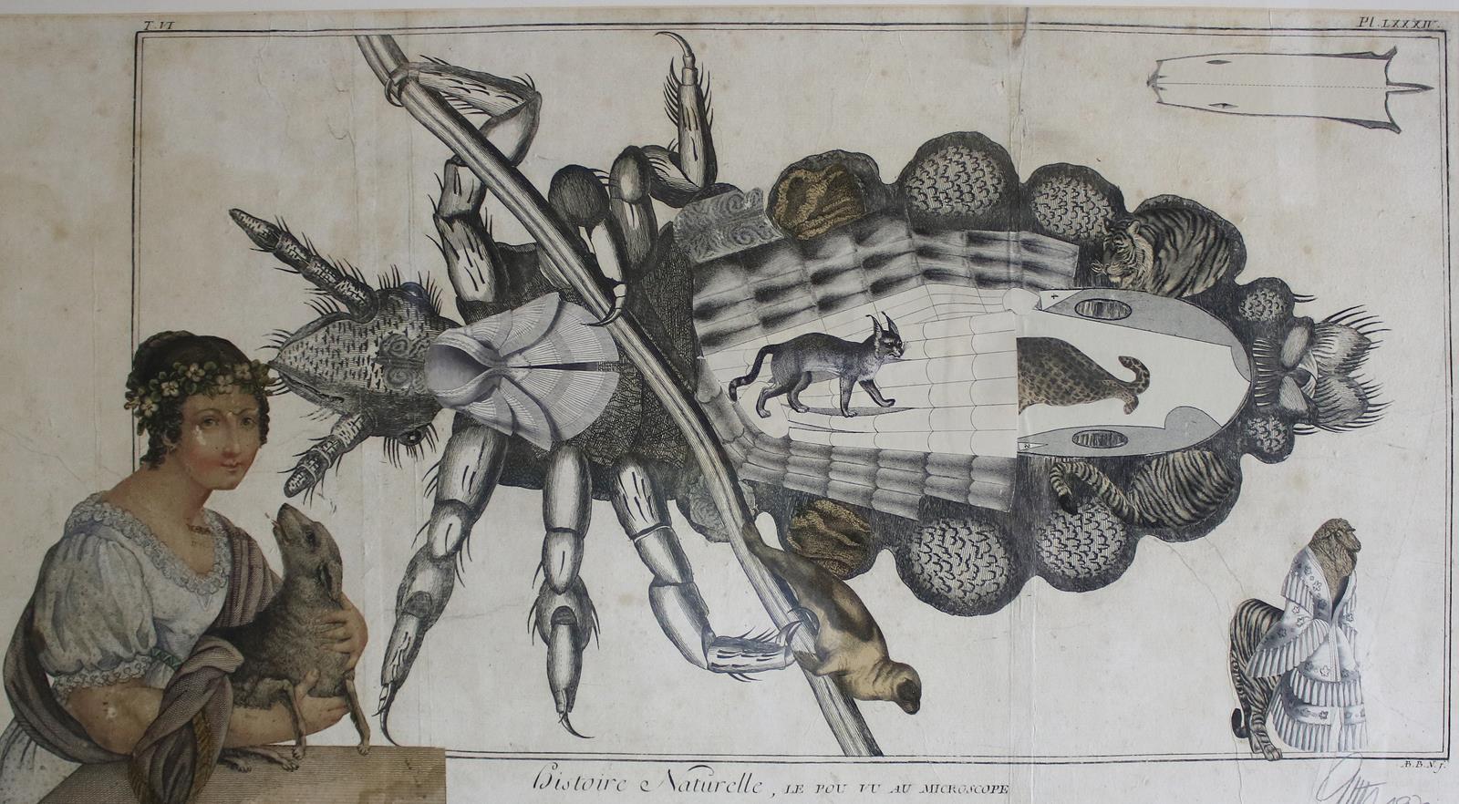 Bauer, Karlheinz | Bild Nr.1