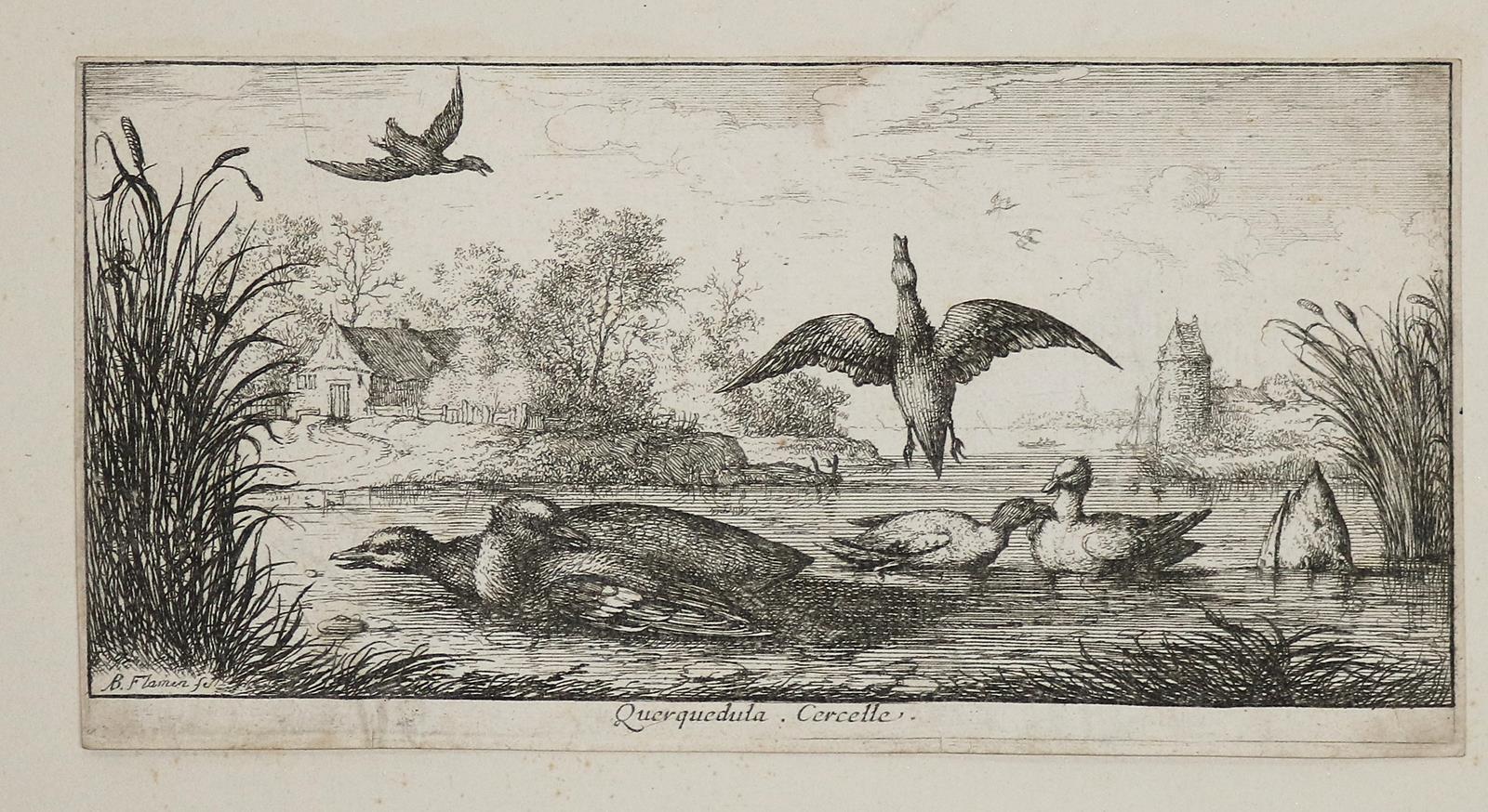 Flamen,Albert | Bild Nr.3