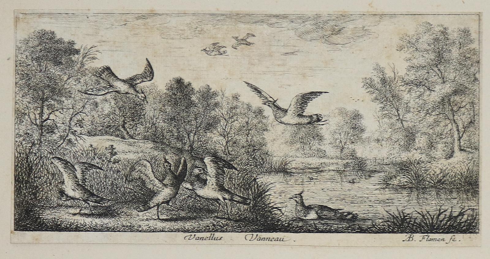 Flamen,Albert | Bild Nr.4