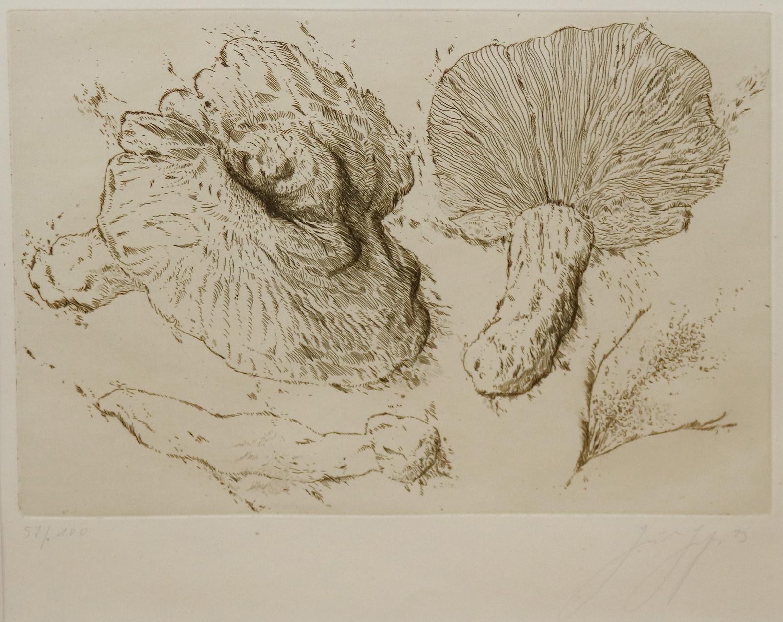 Grass, Günter | Bild Nr.1