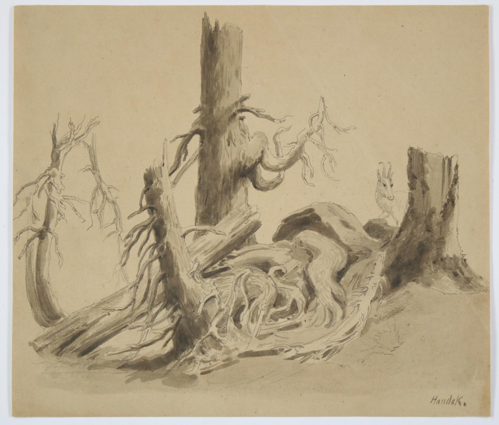 Hoeffler, Adolf Johann | Bild Nr.1