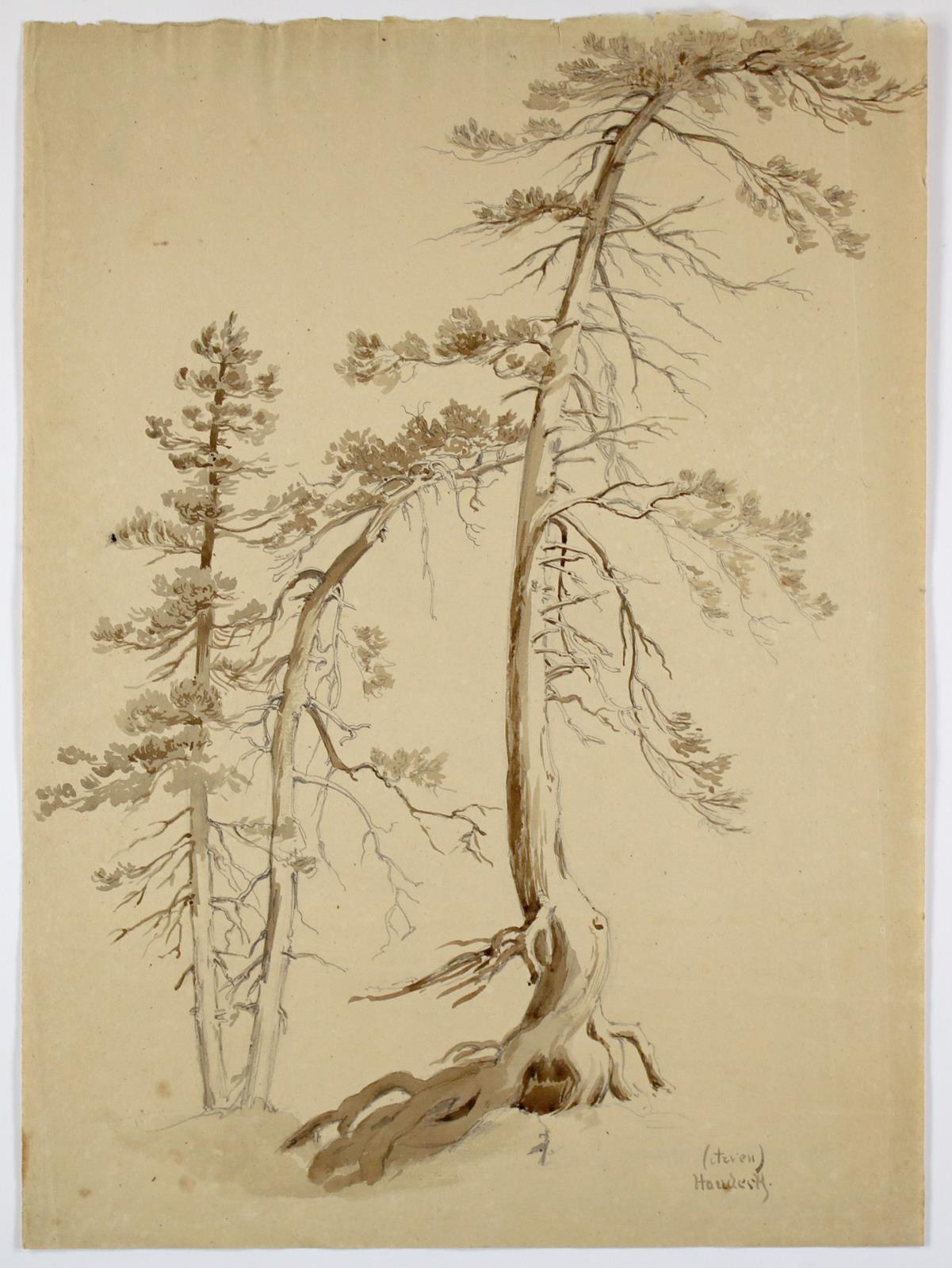 Hoeffler, Adolf Johann | Bild Nr.2