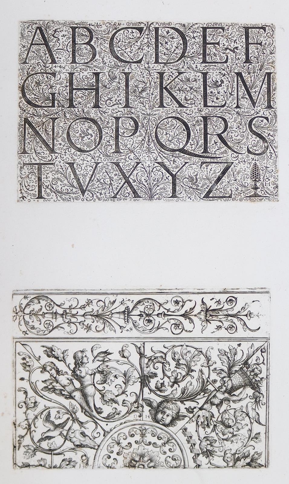 Hopfer. | Bild Nr.11