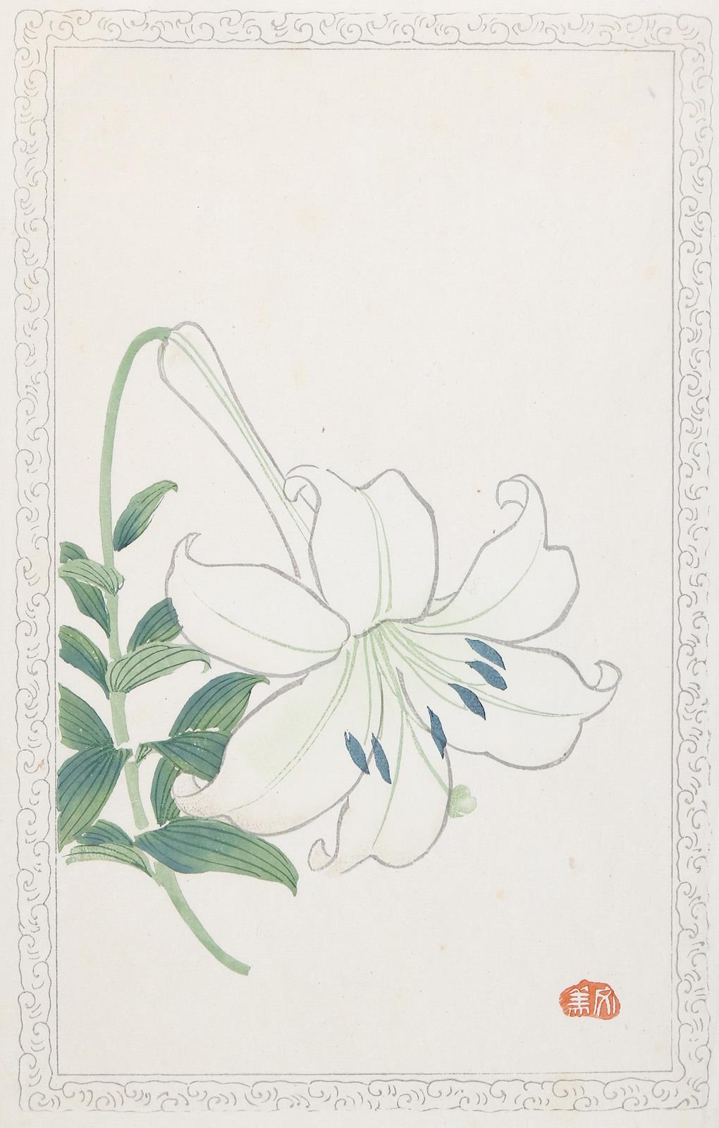 Keika, Hasegawa | Bild Nr.5