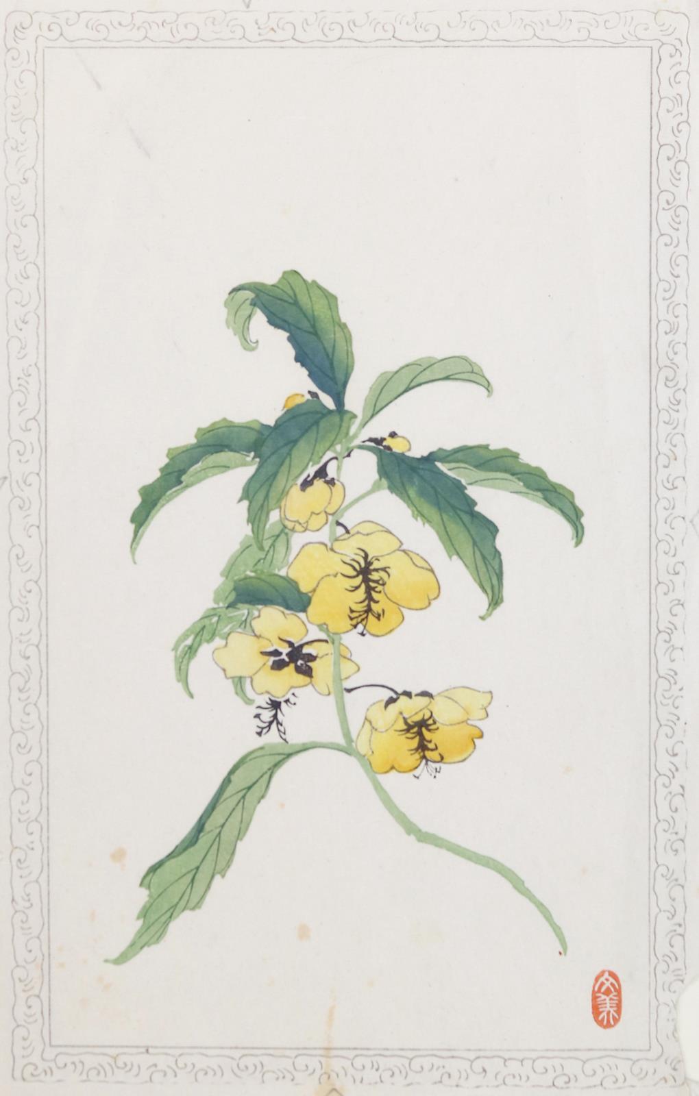 Keika, Hasegawa | Bild Nr.6