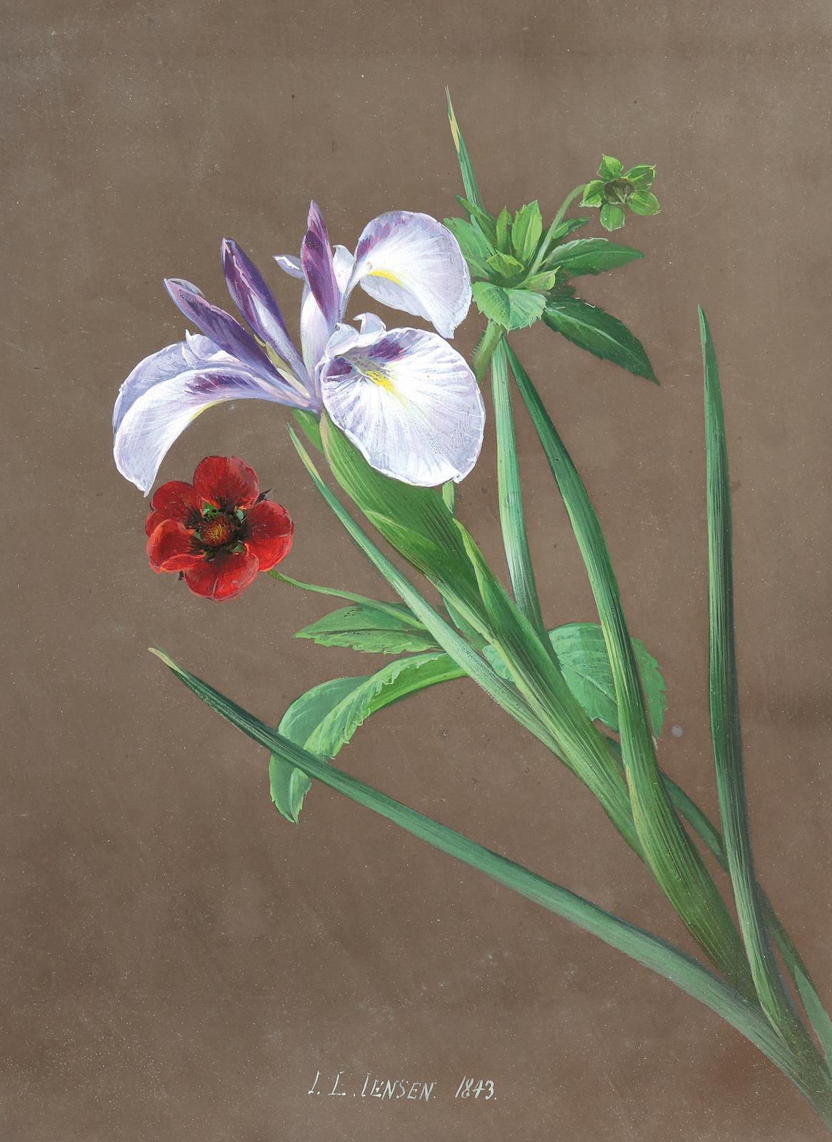 Jensen, Johann Laurentz | Bild Nr.1