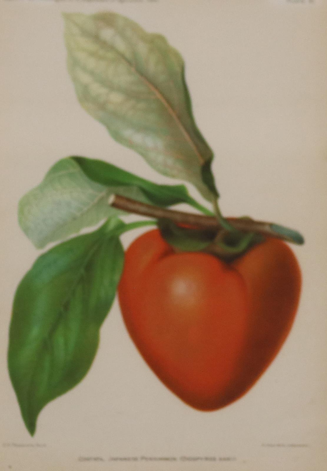 Konvolut. | Bild Nr.3